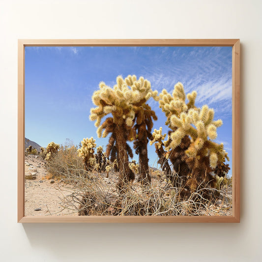 Cholla Garden | Joshua Tree National Park California | Digital Photography | Instant Download