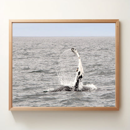 Whale Wave | Nova Scotia, CA | Digital Photography | Instant Download