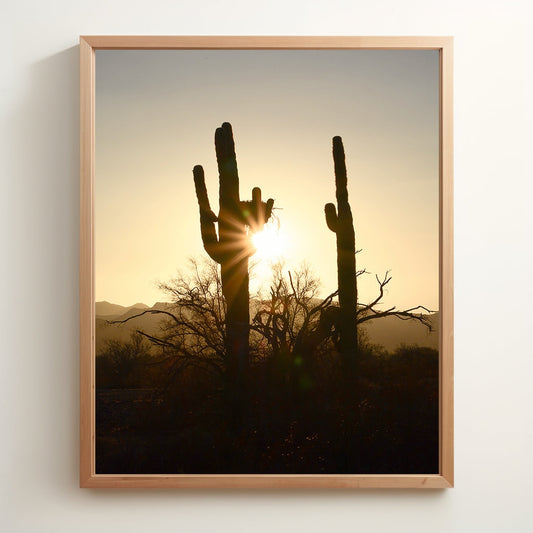 Saguaro Sunrise | Quartzsite, AZ | Digital Photography | Instant Download