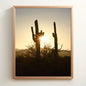 Saguaro Sunrise | Quartzsite, AZ | Digital Photography | Instant Download