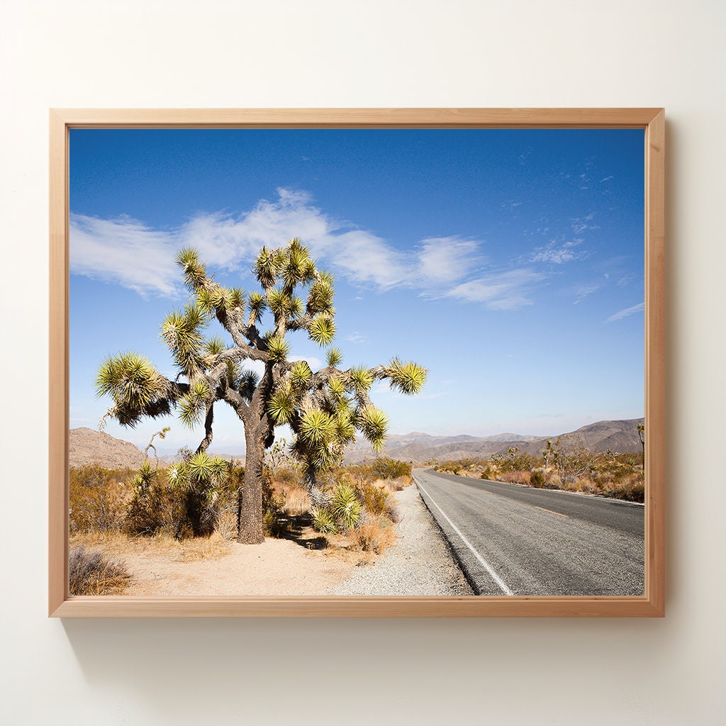 Cruising Through Joshua Tree | Physical Print