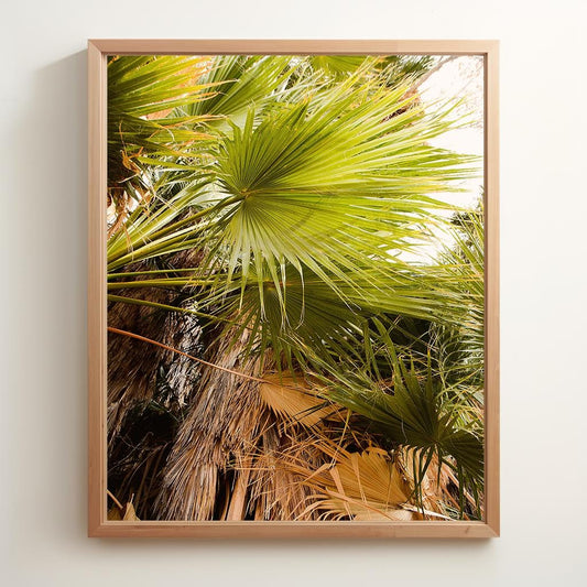 Palm Oasis | Physical Print